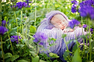 17 day old Smiling newborn baby is sleeping on his stomach in the basket on nature in the garden outdoor