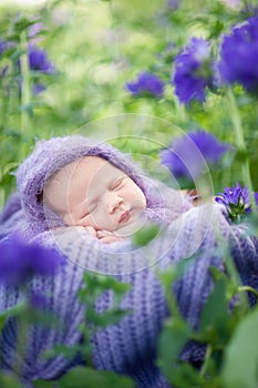 17 day old Smiling newborn baby is sleeping on his stomach in the basket on nature in the garden outdoor