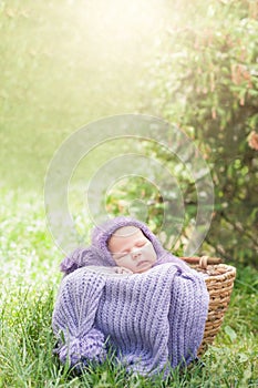 17 day old Smiling newborn baby is sleeping on his stomach in the basket on nature in the garden outdoor