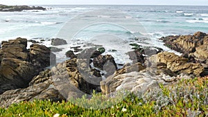 17-mile drive, Monterey, California. Rocky craggy ocean coast, waves. Succulents