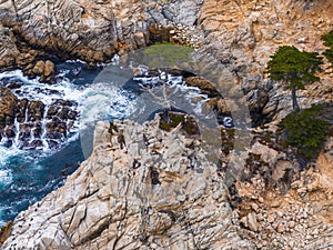 17 mile drive nature. Beautiful aerial view of the Pacific ocean