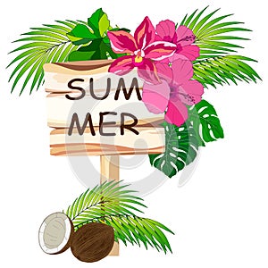 1763 summer,  illustration, wooden plate in tropical flowers and leaves and coconuts, isolate on white background