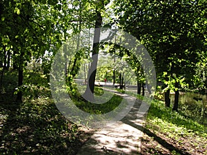 18.Forest Park `DROZDY` in Minsk Belarus