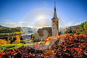 180-degree Moselle loop, vineyards, landscape and lighting in the morning, sunrise in autumn