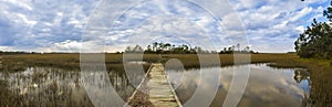 180 degree South Carolina panorama