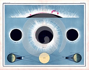 1855 Johnston Total Solar Eclipse Diagram showing solar flares and the sun`s aurora