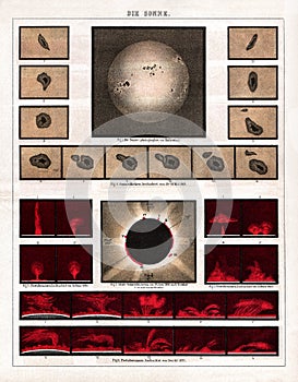 1875 Meyer Antique Astronomy Print of the Total Solar Eclipse of June 18, 1860