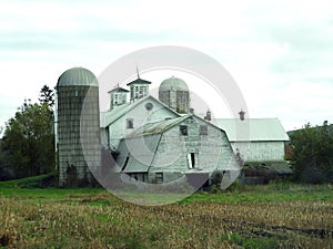 1896 historic NYS weathered whitewash wood dairy barns