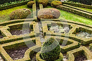 An 18th century formal garden in castle Pieskowa Skala in Poland.