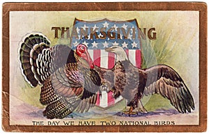 1909 Vintage Thanksgiving Postcard Two National Birds