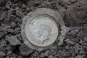 1923 Silver Peace Dollar On Ground in Dirt. Front View