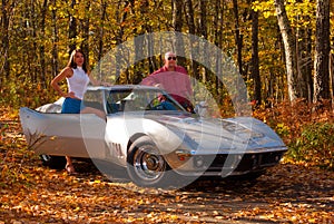 1969 Corvette Stingray in Autumn Colors