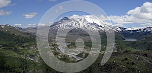 The 1980 blast zone of Mount St. Helens