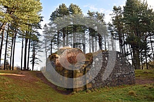 19th century ice house in Tentsmuir Forest, Fife Scotland now colonised by bats