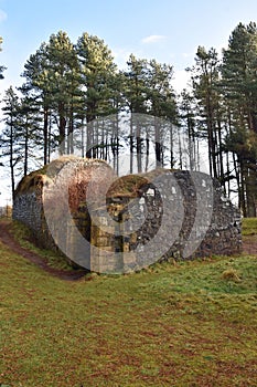 19th century ice house in Tentsmuir Forest, Fife Scotland now colonised by bats