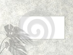 1x2 horizontal White frame for photo or picture mockup on concrete background with shadow of monstera leaves. 3D rendering
