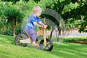 2 - 3 years joyful child riding a wooden balance bike