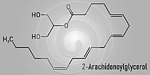 2-Arachidonoylglycerol 2-AG endocannabinoid neurotransmitter molecule. Skeletal formula.