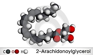 2-Arachidonoylglycerol, 2-AG molecule. It is an endocannabinoid, formed from omega-6 arachidonic acid and glycerol. Molecular