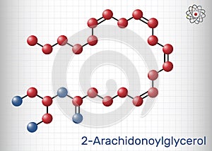 2-Arachidonoylglycerol, 2-AG molecule. It is an endocannabinoid, formed from omega-6 arachidonic acid and glycerol. Molecule model