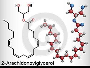 2-Arachidonoylglycerol, 2-AG molecule. It is an endocannabinoid, formed from omega-6 arachidonic acid and glycerol. Structural