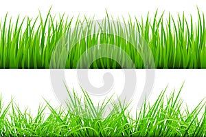 2 Backgrounds Of Green Grass, Isolated On White Background