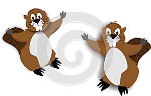 2 Beaver cartoons