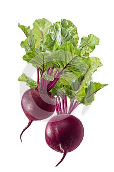 2 beet roots with leaves isolated on white background
