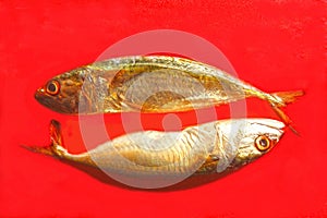 2 fishes or zodiac sign PISCES