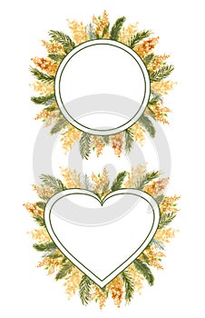 2 Geometric frame with Mimosa branches on the outer edge on a white isolated background