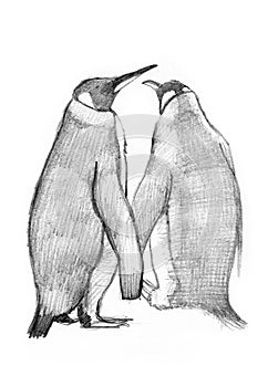 2 King Penguins drawing