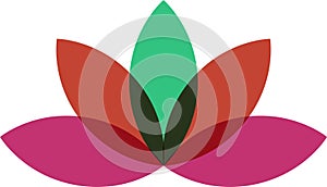 2 lotus flower vector illustration