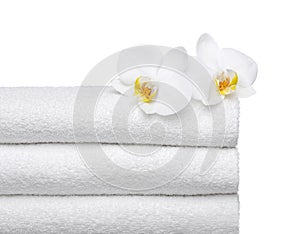 2 orchids on fresh towels