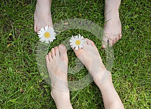 2 pairs of bare children`s feet on the grass, chamomile flowers between the toes