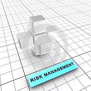 2-Risk management (2/6)