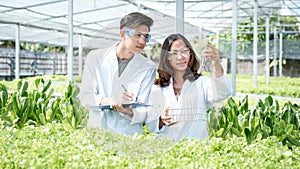 2 Scientists examined the quality of vegetable organic salad and lettuce from hydroponic farm and recorded them in the clipboard