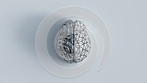 2 sides of human brain concept reflective metal