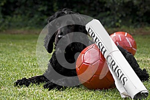 2 Soccer Balls With Newspaper Headline & Watchdog