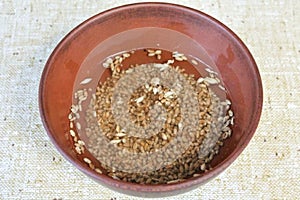 2. Sprouted Wheat Cocktail Photo Recipe