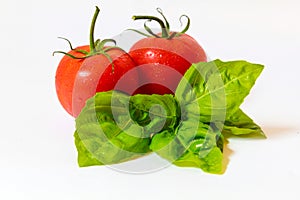 2 tomatoes and a sprig of basil isolated on white.