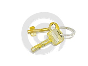 2 types of golden key in the ring with with background