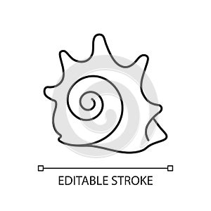 20-04-21 Seashells icon set glyph 16.eps