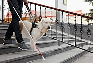 20-25 years old eyeless man with guide dog