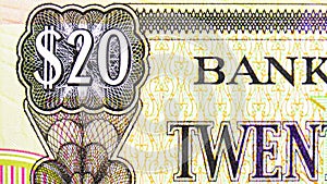 20 Dollars banknote, Bank of Guyana, closeup bill fragment shows Face value