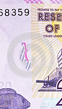 20 Kwacha banknote. Issued on 2012, Bank of Malawi. Fragment: See-through security feature registration device shaped as an