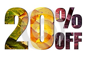 20% off discount promotion sale poster, ads. Autumn sale banner with green, yellow and red leaves on white background.