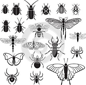 20 vector images of insects