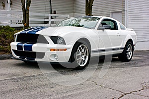 2009 Ford Shelby Cobra GT 500