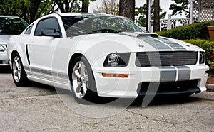 2009 Ford Shelby GT 350