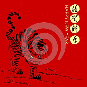 2010 Chinese new year